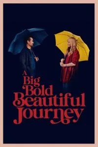 A Big Bold Beautiful Journey (2025) Poster