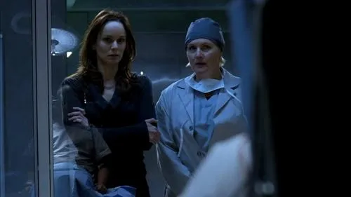 Prison Break S04E15 – Going Under Download Episode Poster