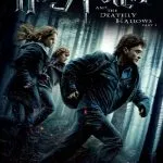 Harry Potter and the Deathly Hallows: Part 1 (2010)
