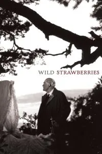 Wild Strawberries (1957) Poster