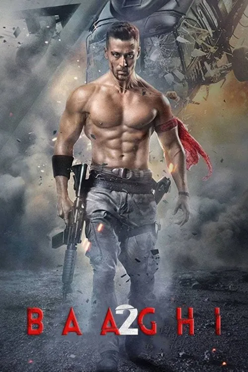 Baaghi 2 (2018)