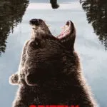 Grizzly Night (2026)