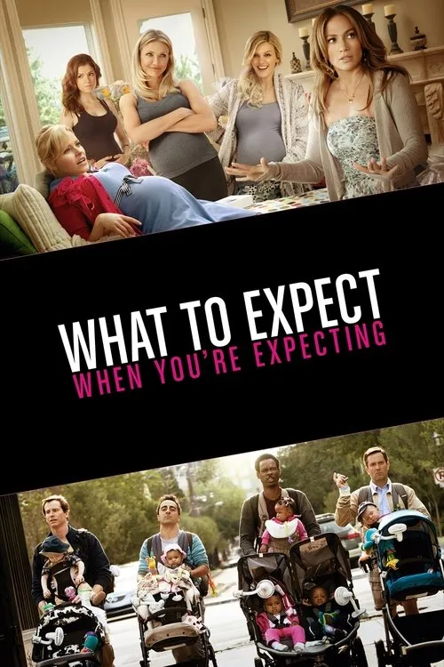 What to Expect When You’re Expecting (2012)
